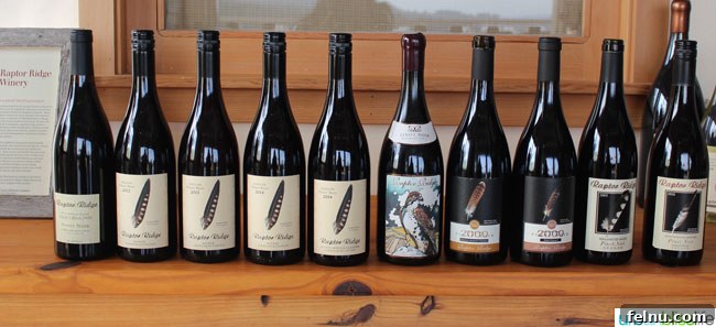 Sip and Celebrate 20 Holiday Wine Favorites 5 Raptor Ridge Winery Pinot Noir