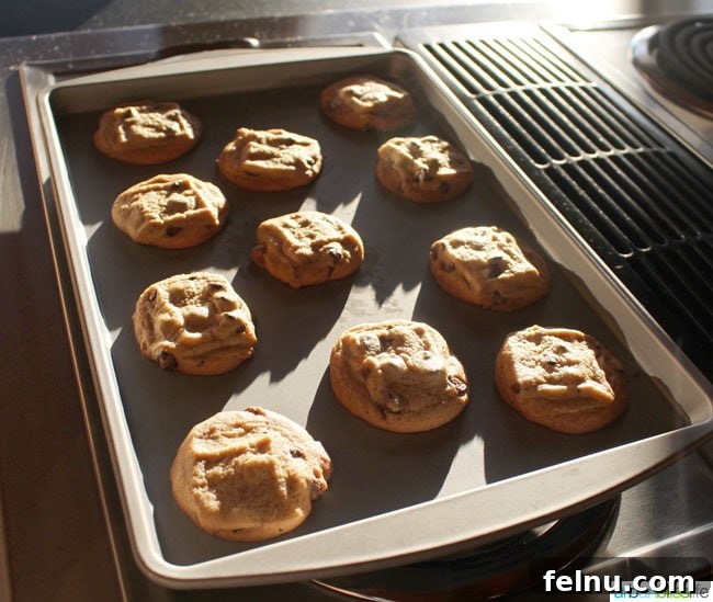 Oregon Shores Glamorous Getaway 10 chocolate chip cookies