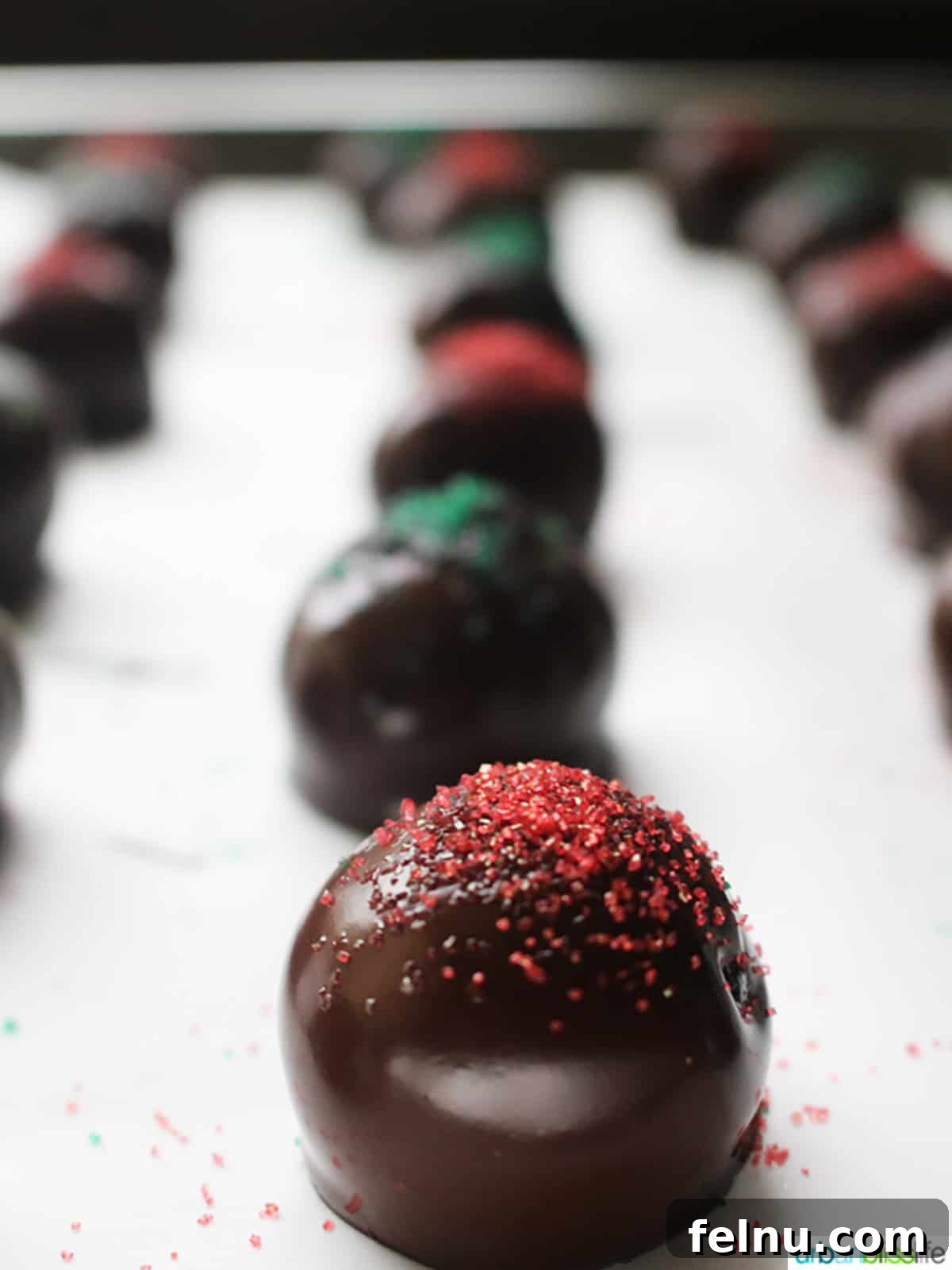 Oreo Dream Bites 10 Close-up of No-Bake Oreo Balls