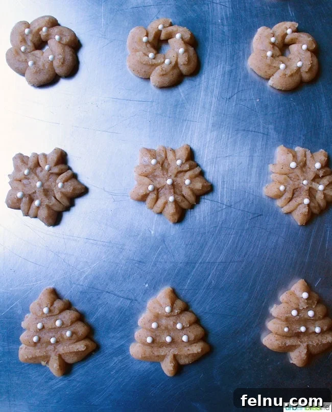 Cinnamon Swirl Delights 9 Cinnamon Spritz Cookies recipe on UrbanBlissLife.com