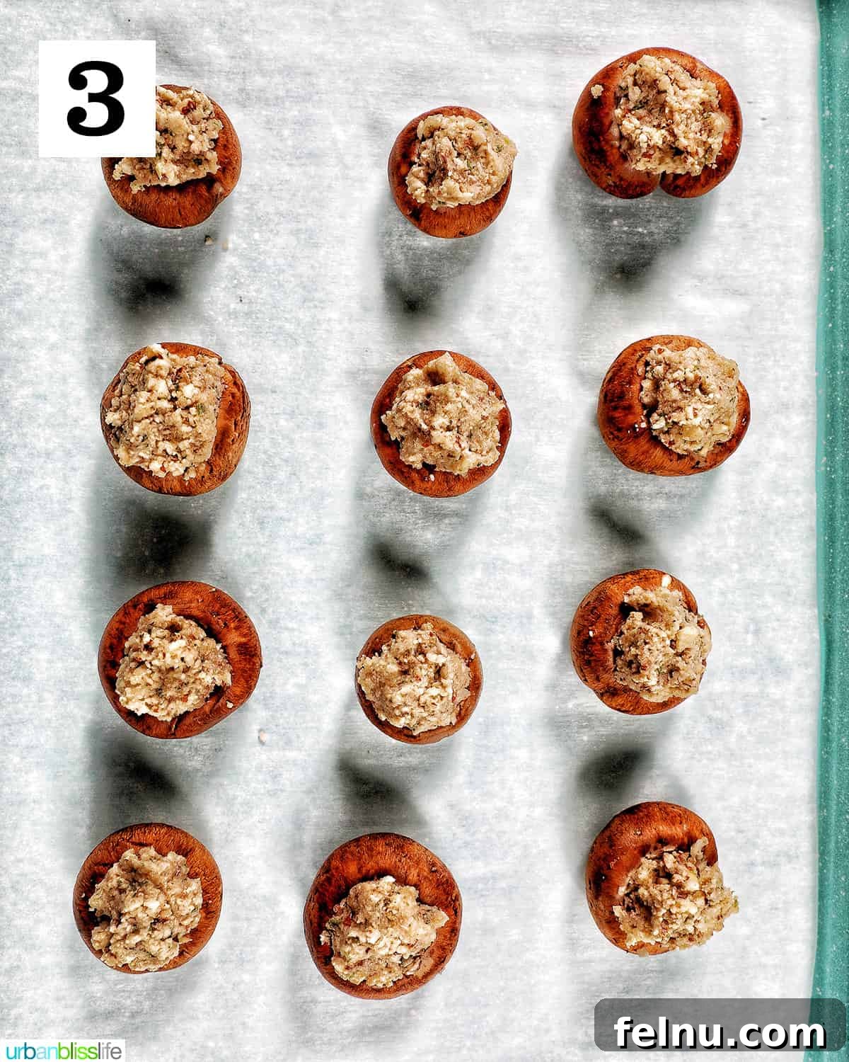 Vegan Delight: Savory Mushroom Caps 8 Vegan Stuffed Mushrooms ready to bake