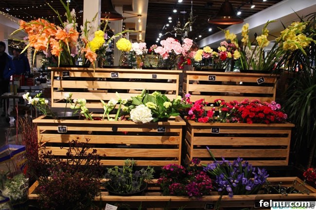 Fresh Local Flowers at Provisions Market Hall Floral Shop