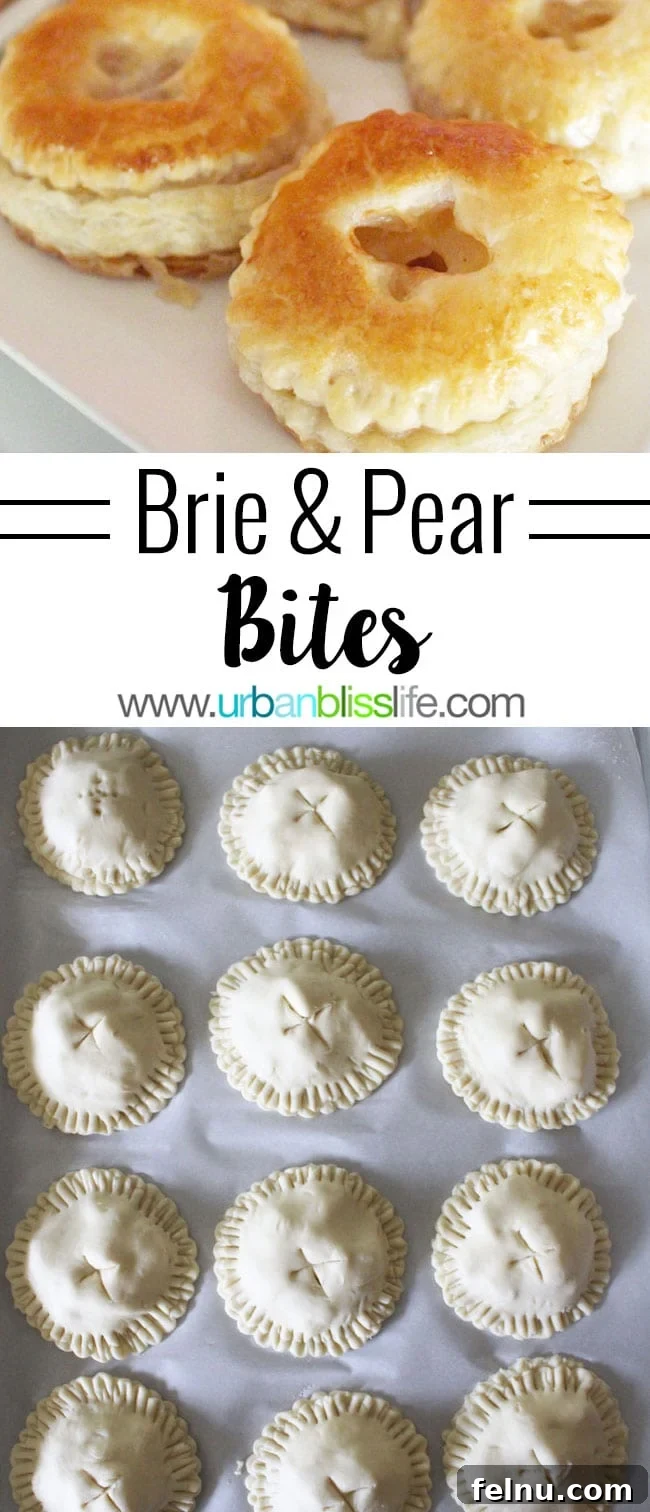 Brie and Pear Bites 2 Delicious Brie and Pear Appetizers