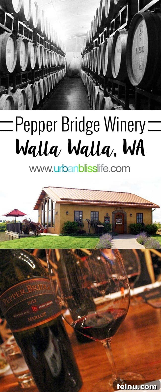 Walla Walla's Pepper Bridge Winery 2 Barrels aging wine at Pepper Bridge Winery in Walla Walla, Washington. The scene captures the rustic elegance of the cellar, showcasing rows of oak barrels where premium wines mature.