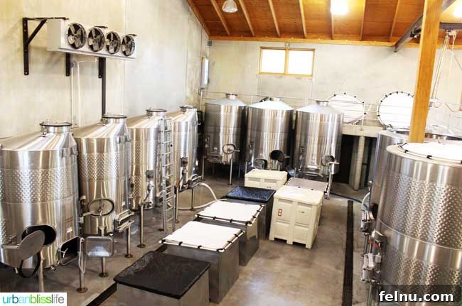 Walla Walla's Pepper Bridge Winery 8 Rows of gleaming stainless steel fermentation tanks at Pepper Bridge Winery, demonstrating their modern approach to winemaking.