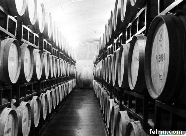 Walla Walla's Pepper Bridge Winery 10 A black and white photograph capturing the serene beauty of wine barrels stacked in the cellar, emphasizing texture and form.