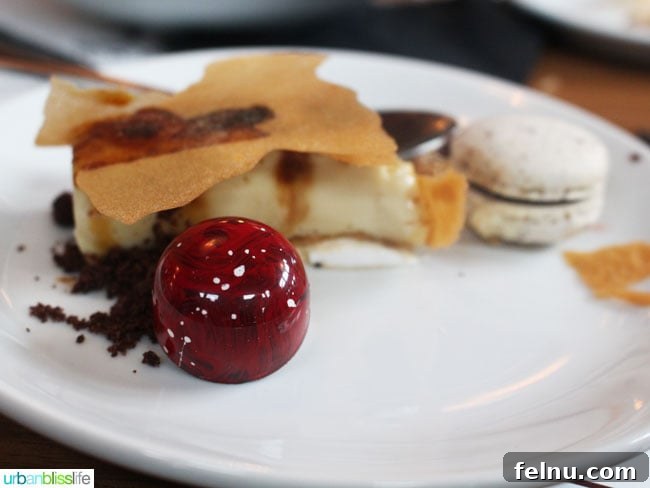 Malbec and Mushrooms: A Flavorful Fusion 12 Winning Dessert - Trio of Candy Cap Mushrooms