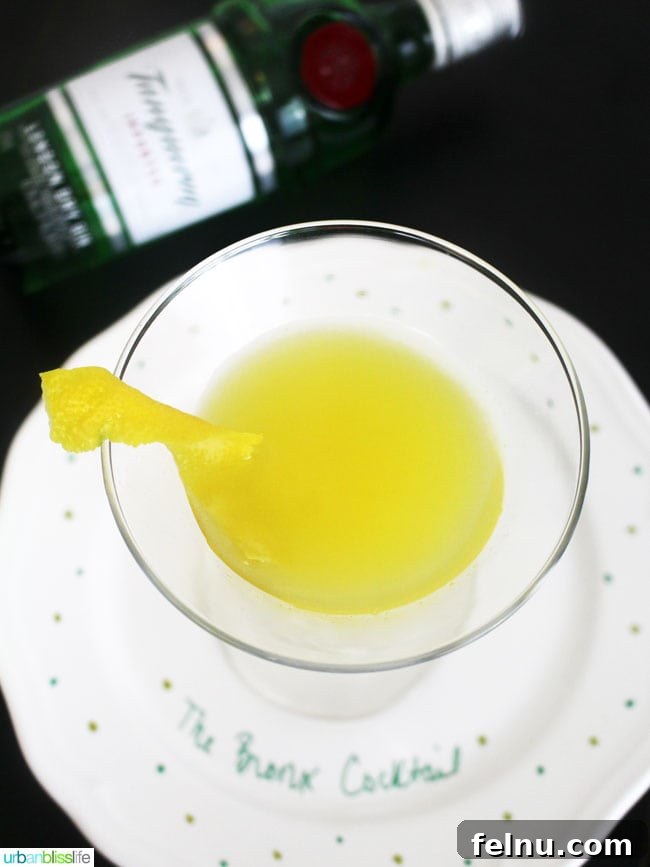 The Bronx Elixir 2 Bronx Martini Cocktail