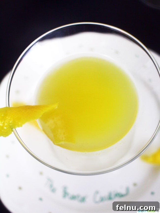 The Bronx Elixir 6 Bronx Cocktail recipe on UrbanBlissLife.com