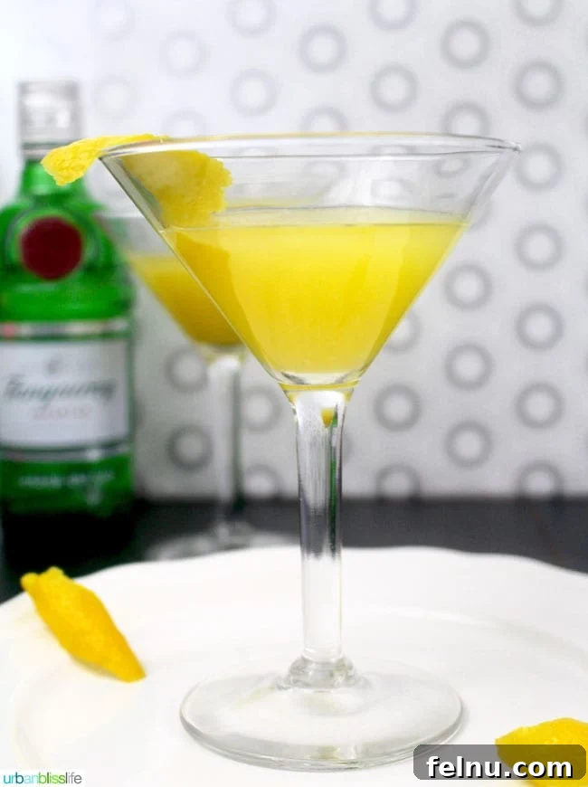 The Bronx Elixir 7 Bronx Cocktail recipe on UrbanBlissLife.com