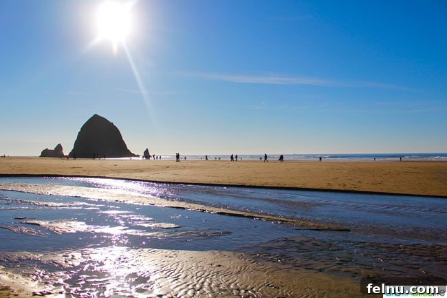 Dining at The Wayfarer Cannon Beach's Iconic Eatery 3 Haystack Rock, Cannon Beach, Oregon Coast