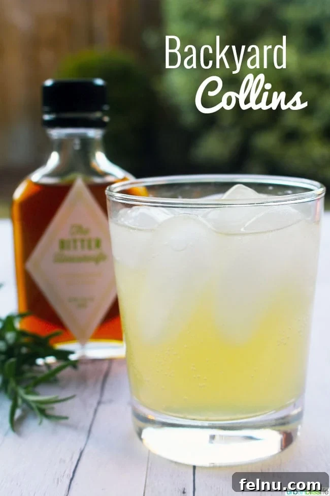 Bourbon Renaissance Cocktail 8 Mixology Monday: Backyard Collins cocktail recipe on UrbanBlissLife.com