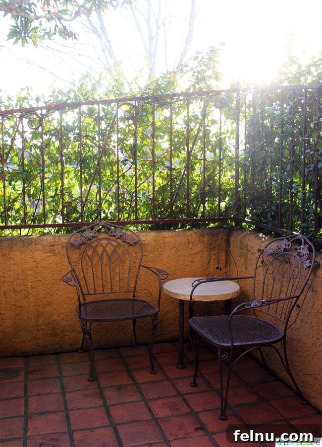 Vintners Inn Your Santa Rosa Escape 11 Private patio attached to a King Deluxe room at Vintners Inn, with outdoor seating.