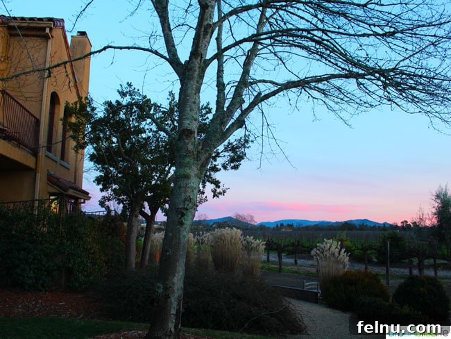 Vintners Inn Your Santa Rosa Escape 13 A beautiful sunset over the vineyards at Vintners Inn in Healdsburg, California.
