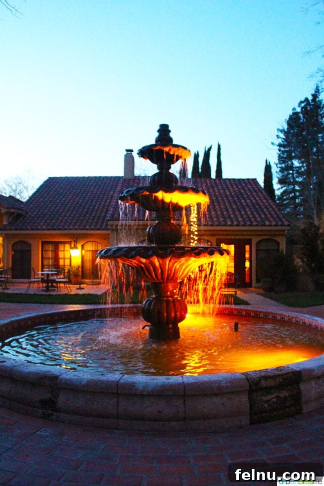Vintners Inn Your Santa Rosa Escape 5 A tranquil fountain feature at Vintners Inn, surrounded by lush greenery.