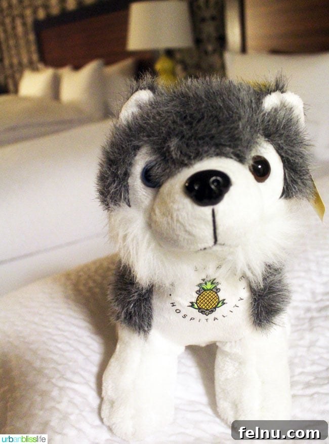 A stuffed animal pineapple dog available for adoption at The Maxwell Hotel Seattle, with proceeds benefiting the local humane society.