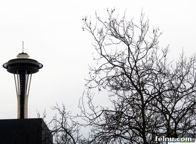 A view of the Seattle Space Needle from the Prima Donna Suite at The Maxwell Hotel Seattle.