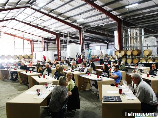Riedel Revelation: Glassware Mastery at Dobbes Family Estate 3 Riedel wine glass class at Dobbes Family Estate winery