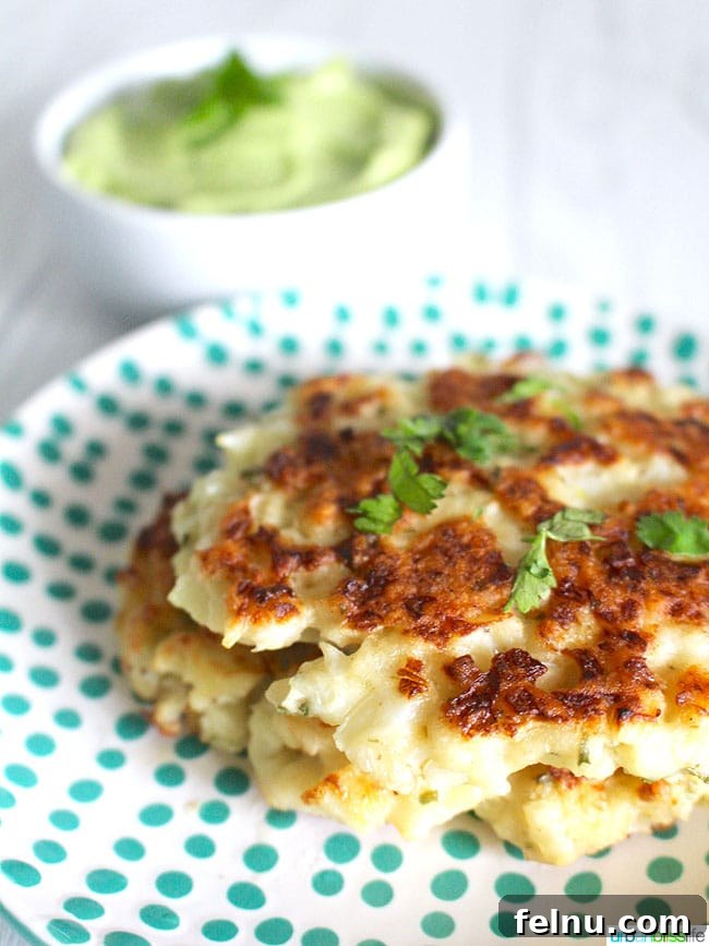 fritters close up