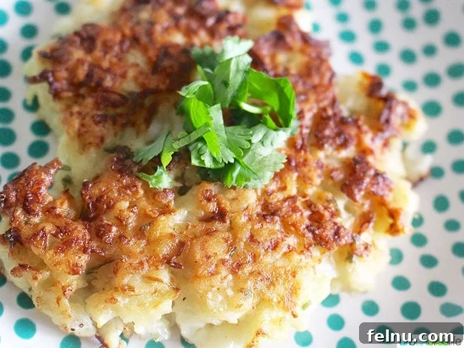 Cauliflower Fritters with Dairy-Free Avocado Aioli recipe on UrbanBlissLife.com