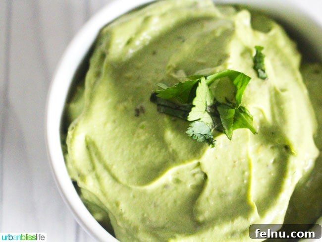 dairy free avocado aioli