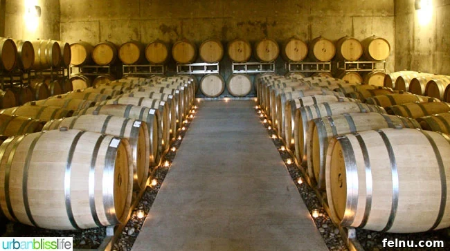 Wine Tasting Birthday Getaway 3 Hawks View Cellars La Baleine Release