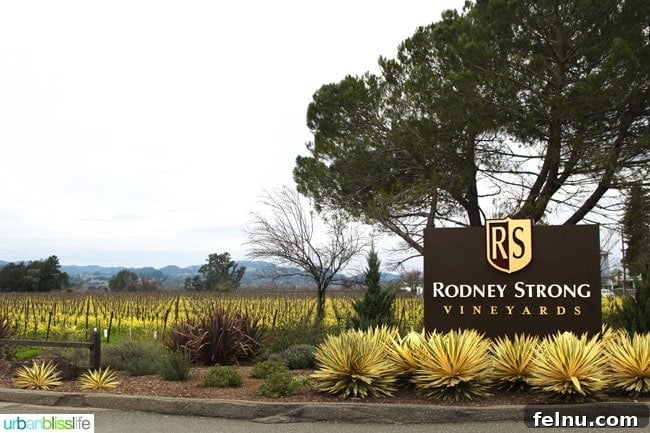 Rodney Strong Vineyards Your Sonoma Wine Escape 11 Rodney Strong Vineyards sign framed by rows of grapevines