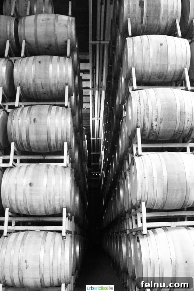 Rodney Strong Vineyards Your Sonoma Wine Escape 17 Black and white photo of towering wine barrels stacked in a cellar