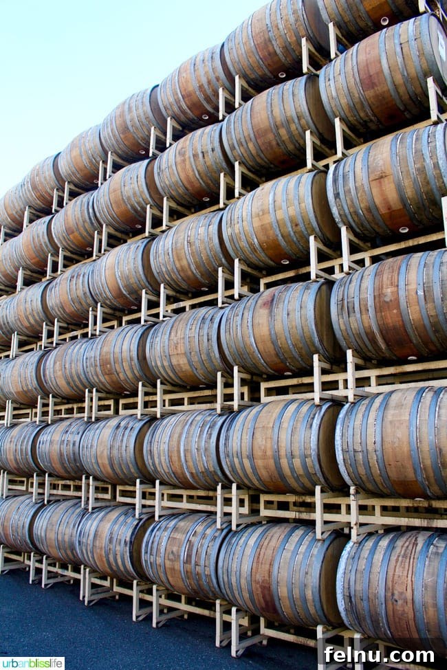 Rodney Strong Vineyards Your Sonoma Wine Escape 3 Rows of oak wine barrels stacked inside Rodney Strong Vineyards cellar