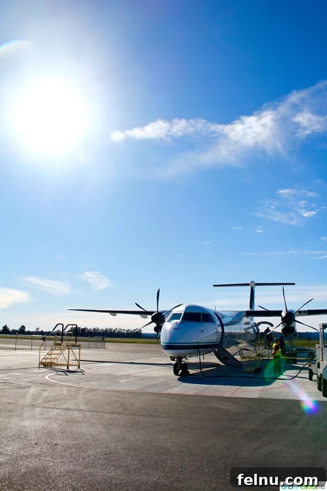 Rodney Strong Vineyards Your Sonoma Wine Escape 4 Airplane taking off with Rodney Strong Sonoma County Master Blender Sweepstakes logo