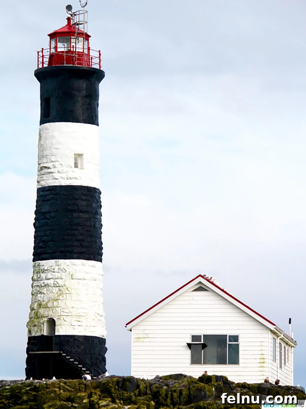 Picturesque Lighthouse in Victoria, BC Lighthouse in Victoria, BC