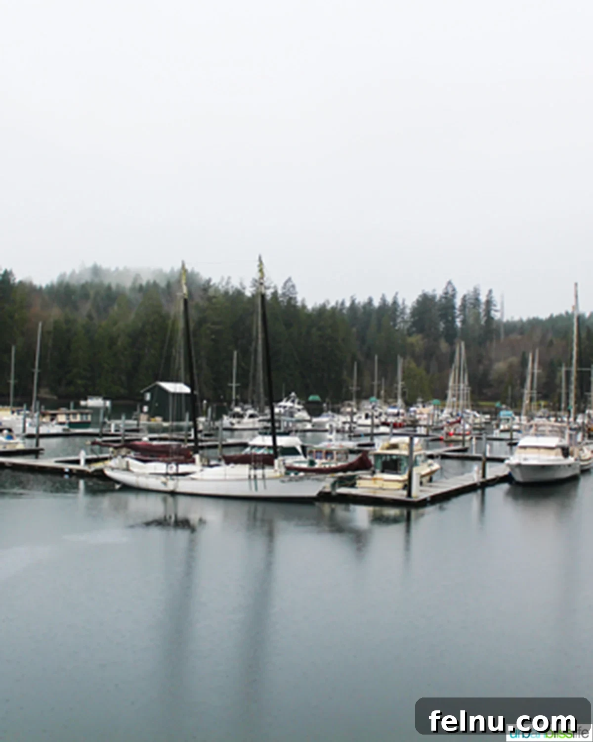 Breathtaking Views of Hood Canal Boats in Hood Canal, Oregon