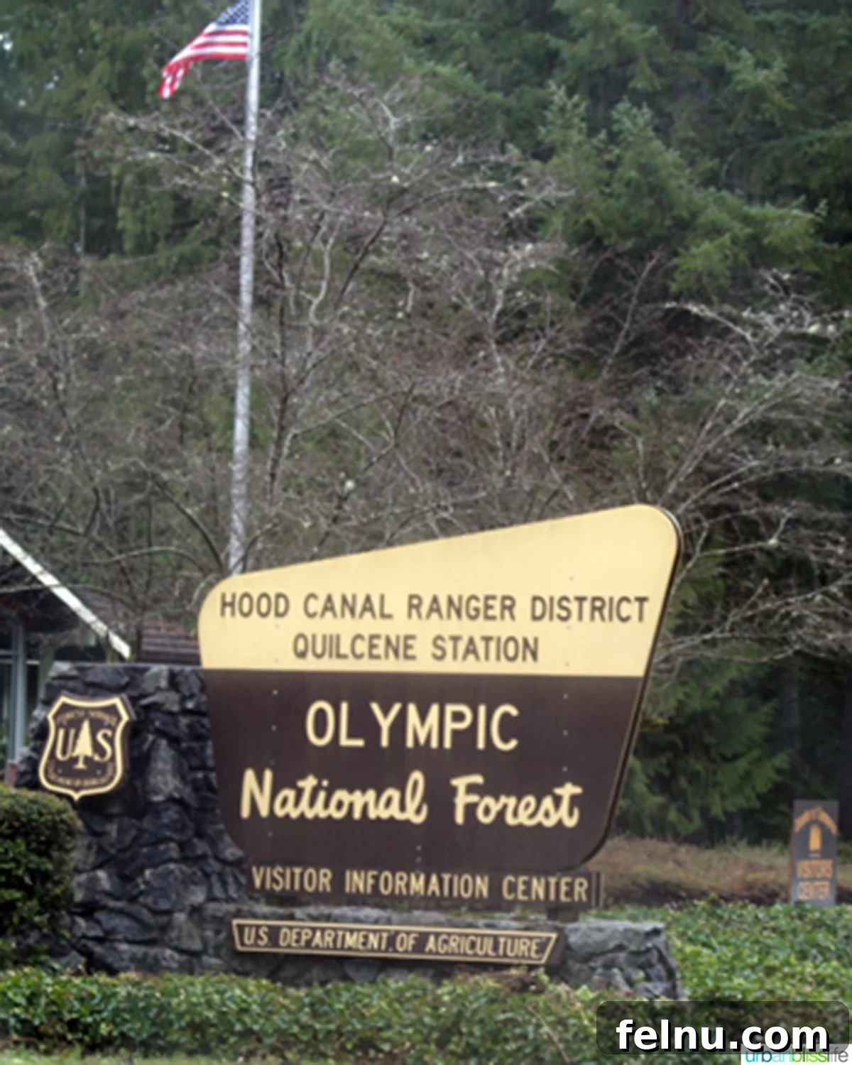 Exploring the Olympic National Forest Olympic Peninsula Ranger Station