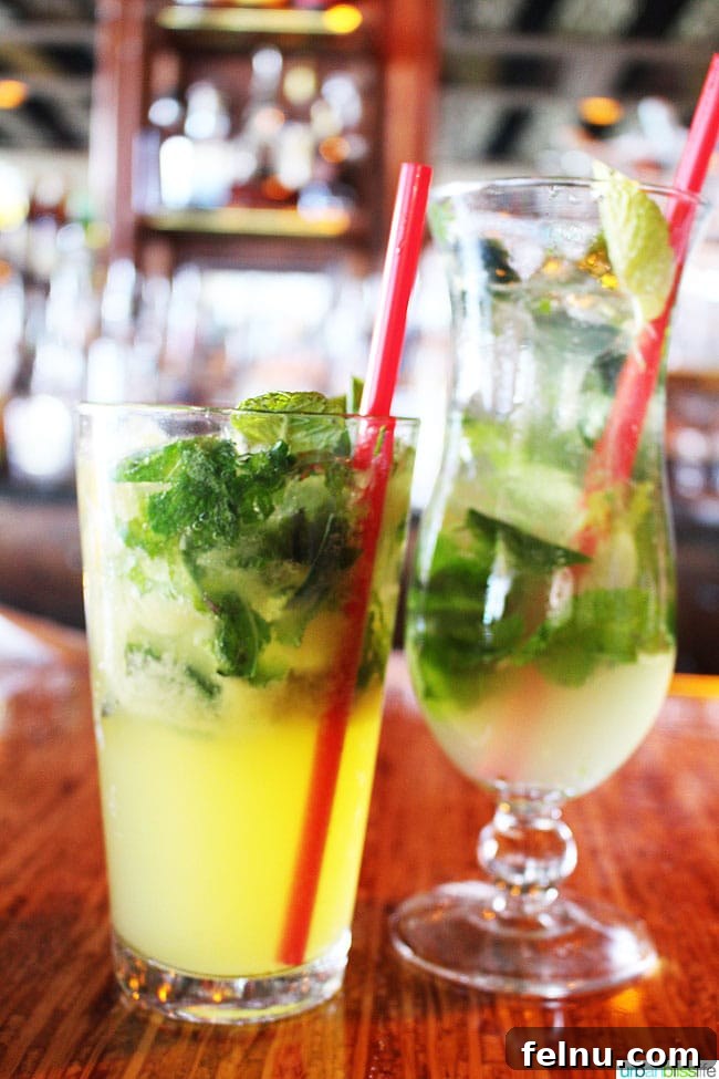 Two variations of Tequila Mojitos with different spice levels