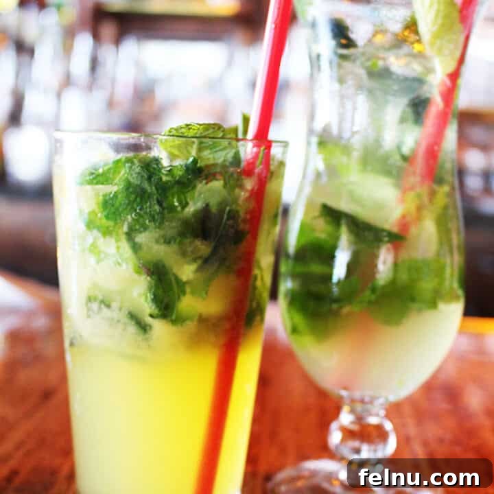 Two Tequila Mojitos, one spicy and one fruity