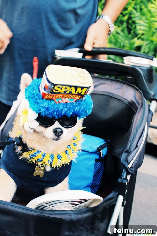 An adorable dog dressed in a SPAM-themed outfit riding in a stroller with a fan at Spam Jam