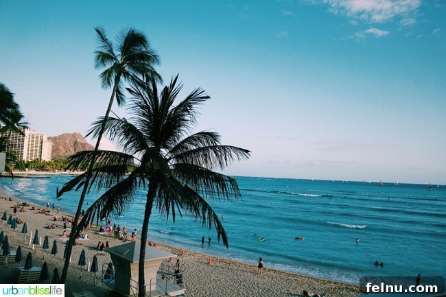 Stunning ocean view from the Outrigger Waikiki Beach Resort suite during the VIP reception