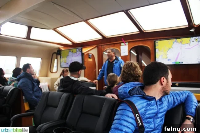 Whale Watching Adventures in Victoria 11 Interior of Whale Watching Boat in Victoria, BC