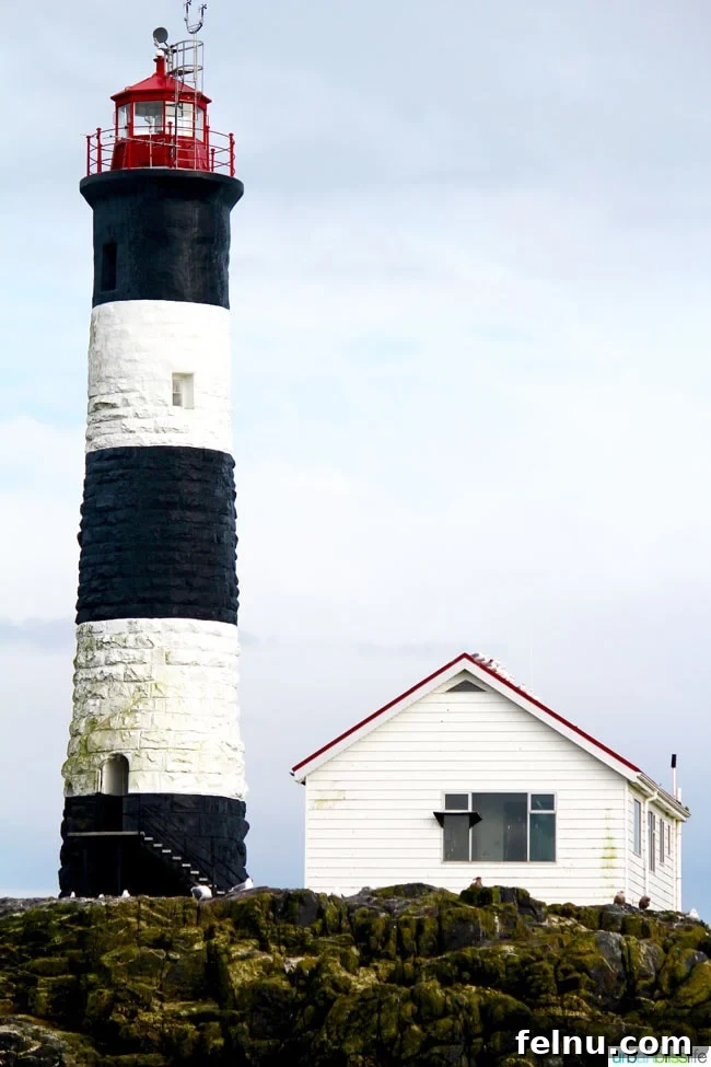 Whale Watching Adventures in Victoria 12 Race Rocks Lighthouse in Victoria, BC