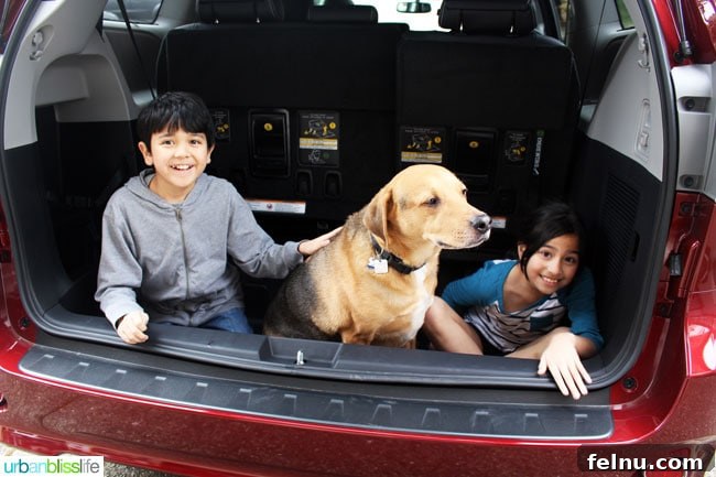 2016 Toyota Sienna: An In-Depth Look 8 Kids and dog enjoying 2016 Toyota Sienna space