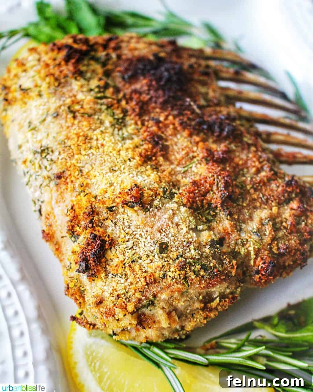 Aromatic Herb-Crusted Lamb Rack with Sweet-Tart Blackberry Balsamic 3 Close-up of a perfectly roasted herb crusted rack of lamb, showcasing its golden crust