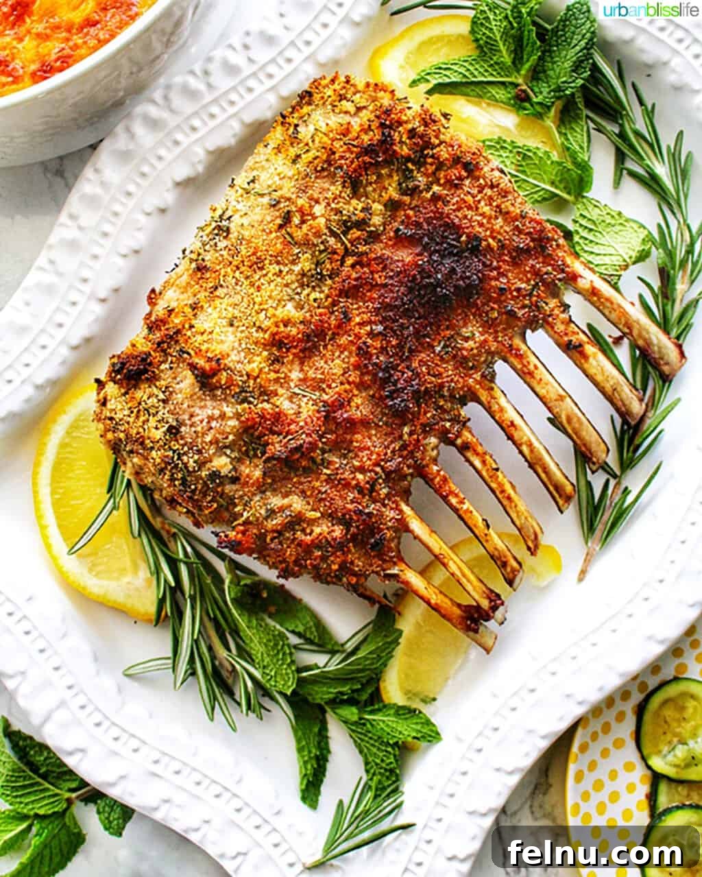 Aromatic Herb-Crusted Lamb Rack with Sweet-Tart Blackberry Balsamic 4 Frenched rack of lamb prepared for roasting, ready for its herb crust