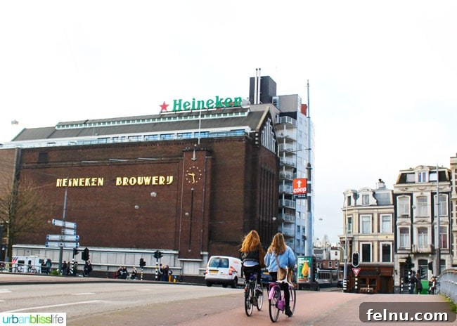 The Best Bites and Brews in Amsterdam 14 What to Eat and Drink in Amsterdam. Popular Dutch food, top restaurants, great outdoor markets. Read more on UrbanBlissLife.com