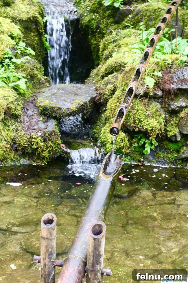 Victoria BC Family Fun: Top 5 Kid-Friendly Adventures 2 Stunning water feature at Butchart Gardens