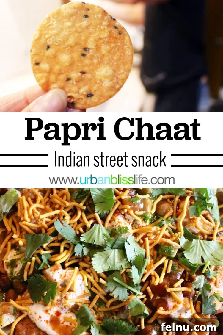 Pin for later Papri Chaat Indian street snack