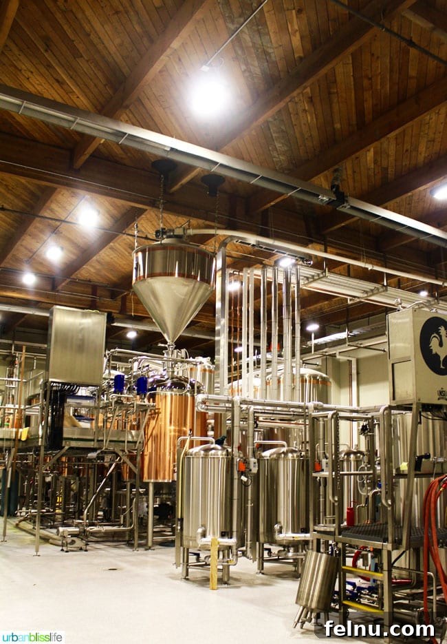 Vancouver's Big Rock Brewery Spotlight 2 Inside the Big Rock Brewery during a tour