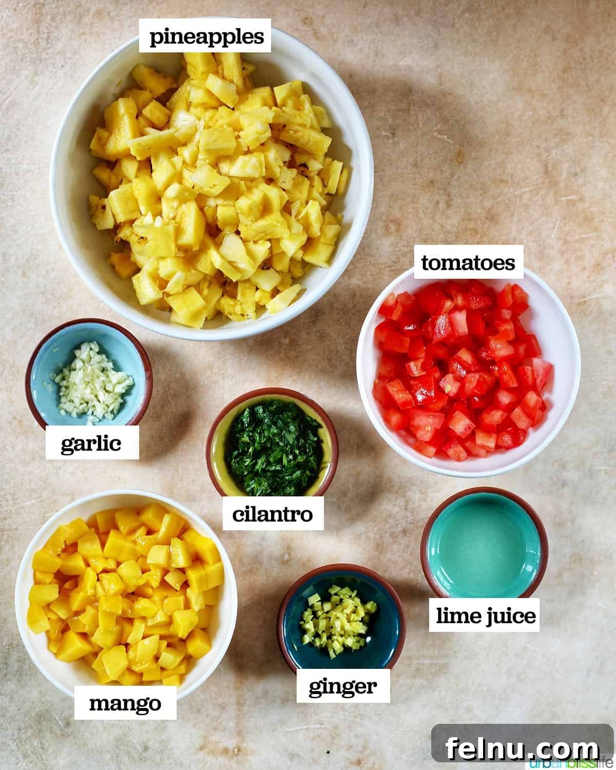 Sun-Kissed Fruit Salsa 4 Individual bowls holding freshly chopped ingredients like pineapple, mango, tomatoes, cilantro, and minced garlic and ginger, neatly arranged on a bright yellow table, ready for mixing into salsa.