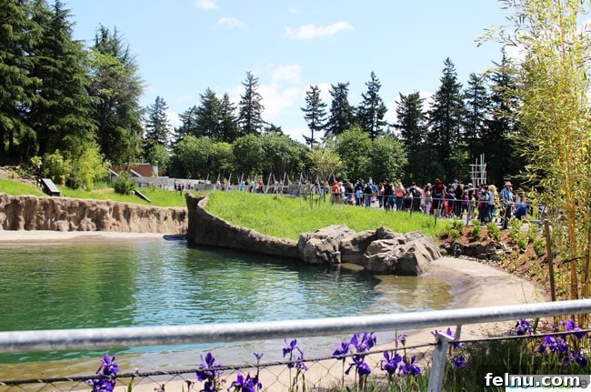 Oregon Zoo Family Fun: Activities for Kids and Adults 4 Oregon Zoo Elephant Water Walkway