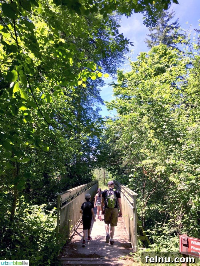 Tualatin River Wildlife Sanctuary 3 A family strolls across a charming wooden bridge at Tualatin River National Wildlife Refuge, enjoying the peaceful natural surroundings.