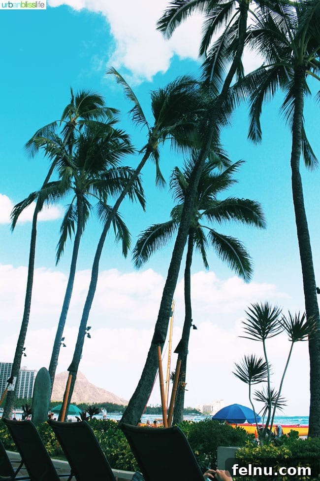 Outrigger Waikiki Beach Resort: Your Honolulu Home Away From Home 12 Palm trees swaying in the breeze at the Outrigger Waikiki Beach Resort.